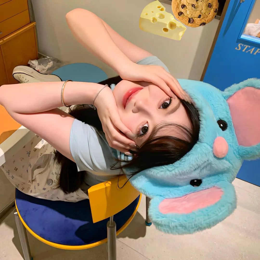 代号美洲豹