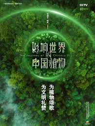 闪婚后顾医生他禁欲又多金 封面图